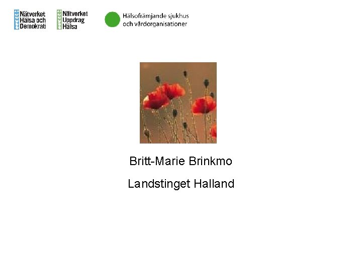 Britt-Marie Brinkmo Landstinget Halland 