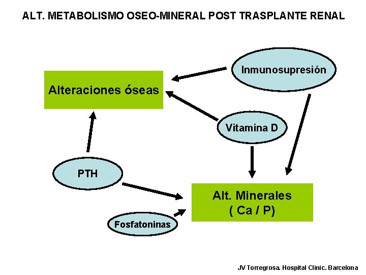ALT. METABOLISMO OSEO-MINERAL POST TRASPLANTE RENAL Inmunosupresión Alteraciones óseas Vitamina D PTH Alt. Minerales