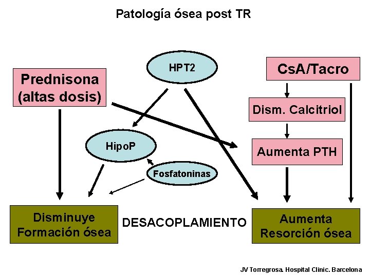 Patología ósea post TR Cs. A/Tacro HPT 2 Prednisona (altas dosis) Dism. Calcitriol Hipo.