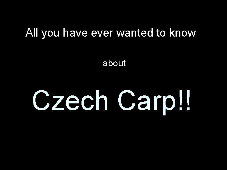 All you have ever wanted to know about Czech Carp!! 