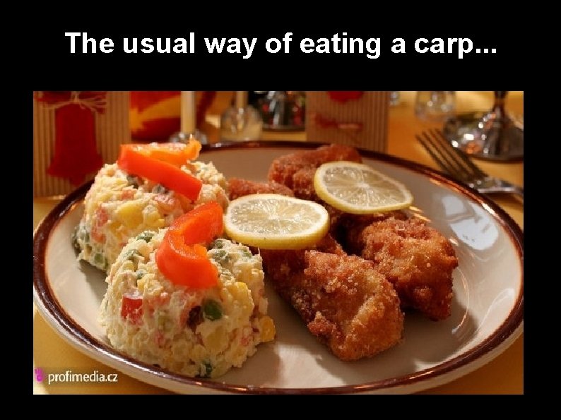 The usual way of eating a carp. . . 