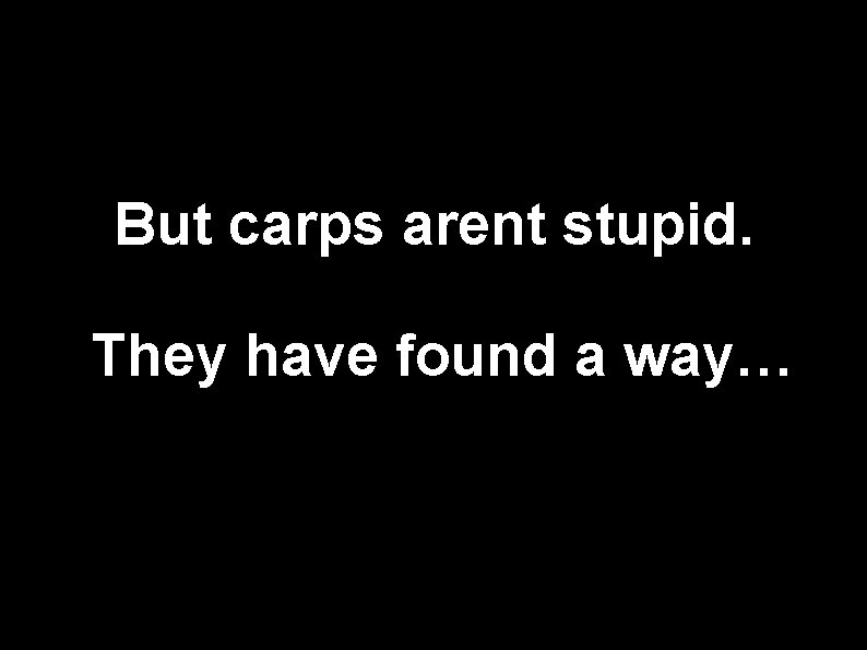 But carps arent stupid. They have found a way… 