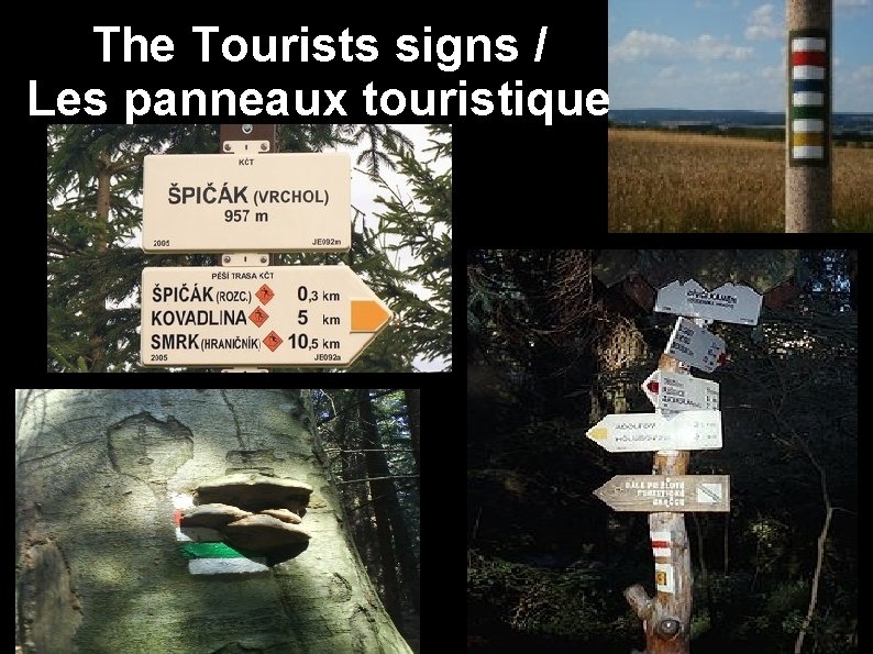 The Tourists signs / Les panneaux touristique 