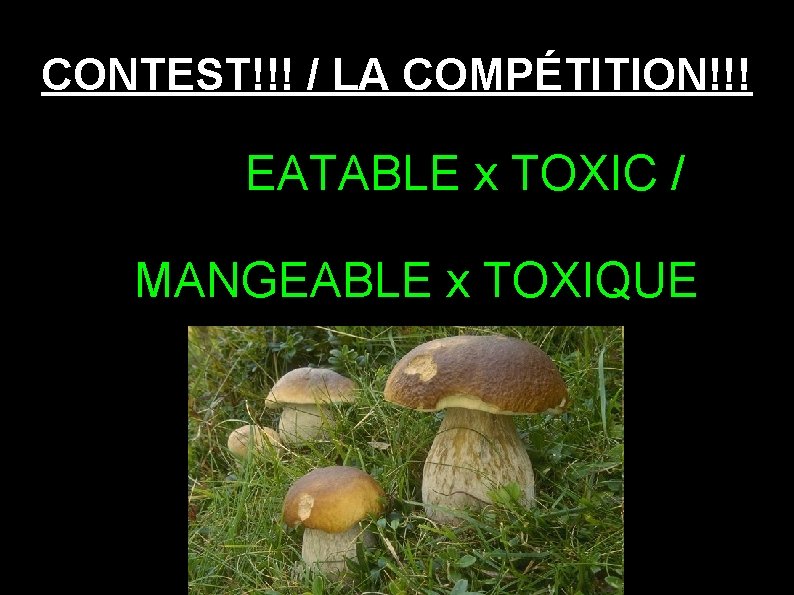 CONTEST!!! / LA COMPÉTITION!!! EATABLE x TOXIC / MANGEABLE x TOXIQUE 