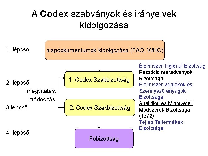 A Codex szabványok és irányelvek kidolgozása 1. lépcső alapdokumentumok kidolgozása (FAO, WHO) 2. lépcső
