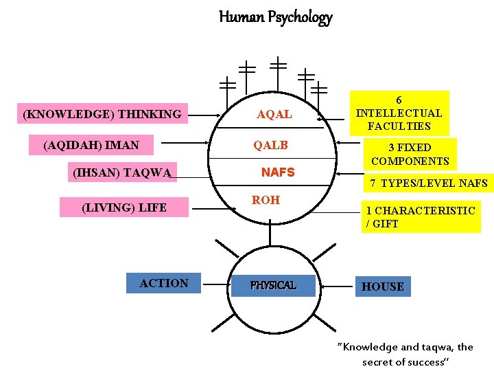Human Psychology (KNOWLEDGE) THINKING (AQIDAH) IMAN (IHSAN) TAQWA (LIVING) LIFE ACTION AQAL QALB NAFS