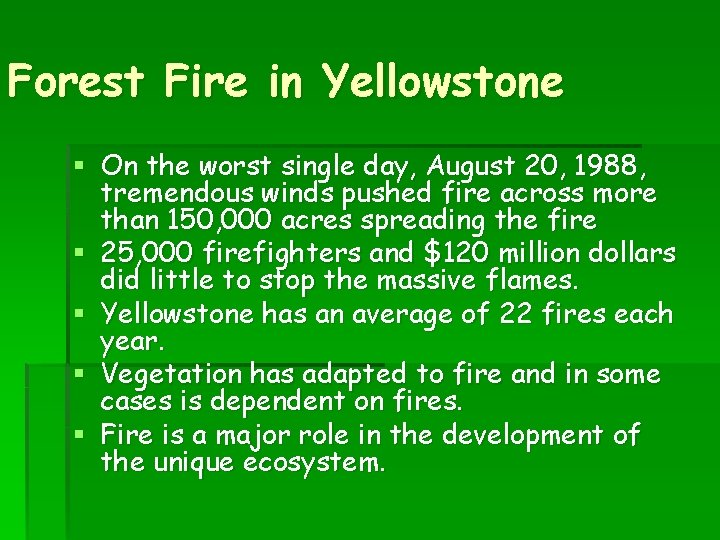 Forest Fire in Yellowstone § On the worst single day, August 20, 1988, tremendous