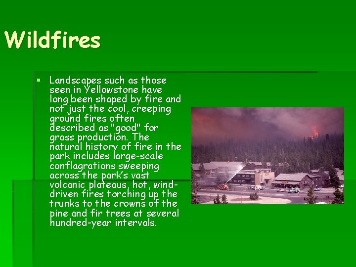 Wildfires § Landscapes such as those seen in Yellowstone have long been shaped by
