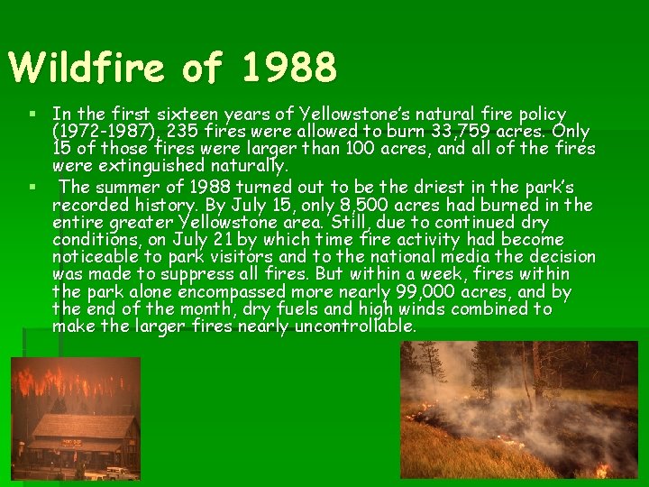 Wildfire of 1988 § In the first sixteen years of Yellowstone’s natural fire policy