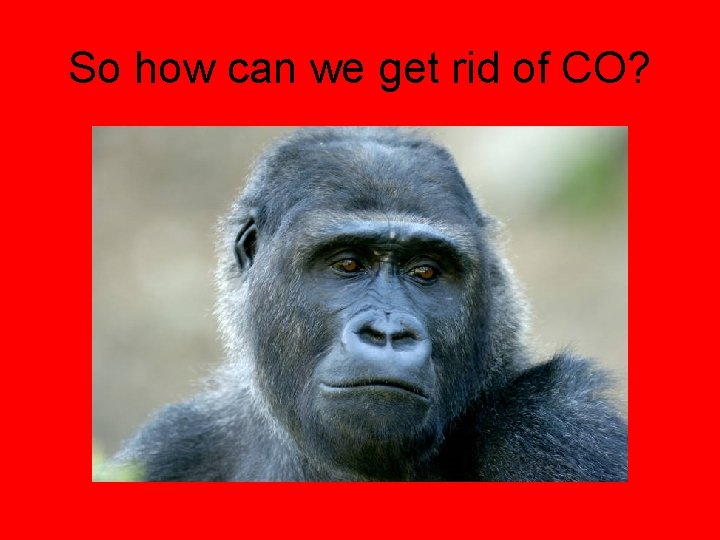 So how can we get rid of CO? 