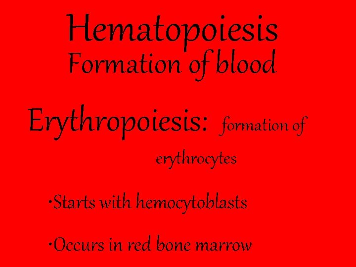 Hematopoiesis Formation of blood Erythropoiesis: formation of erythrocytes • Starts with hemocytoblasts • Occurs
