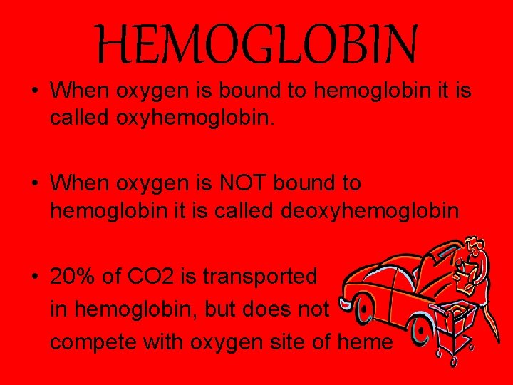 HEMOGLOBIN • When oxygen is bound to hemoglobin it is called oxyhemoglobin. • When
