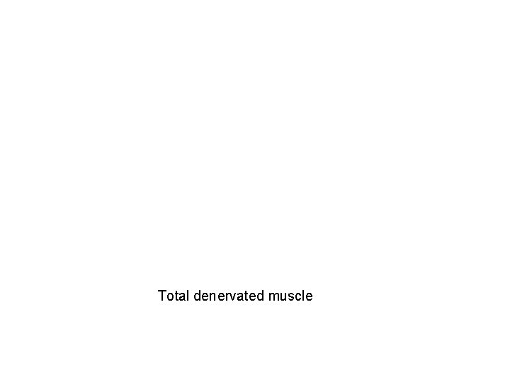 Total denervated muscle 