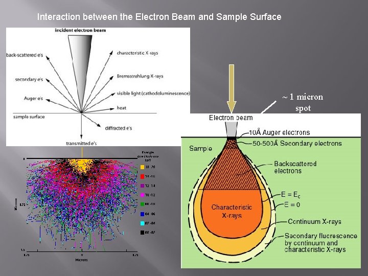 Interaction between the Electron Beam and Sample Surface ~ 1 micron spot 