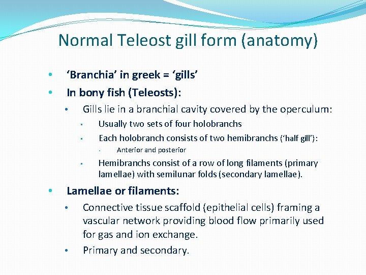 Normal Teleost gill form (anatomy) • • ‘Branchia’ in greek = ‘gills’ In bony