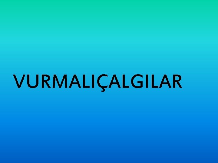 VURMALIÇALGILAR 