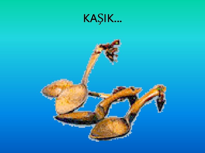 KAŞIK. . . 