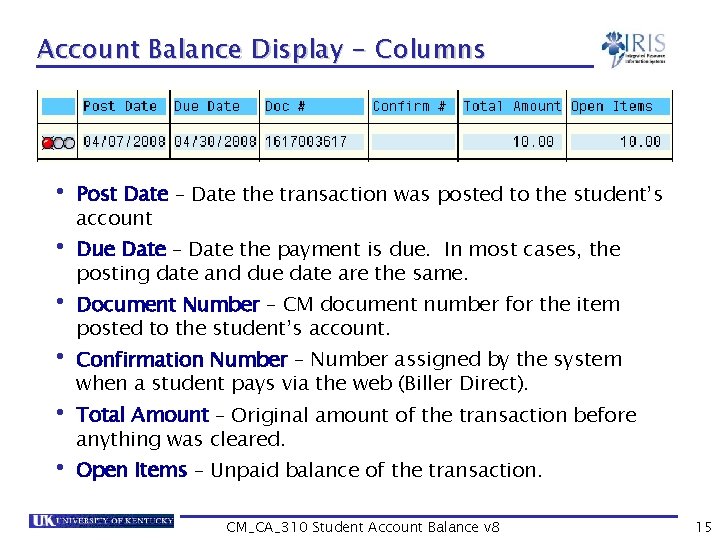 Account Balance Display - Columns • Post Date – Date the transaction was posted