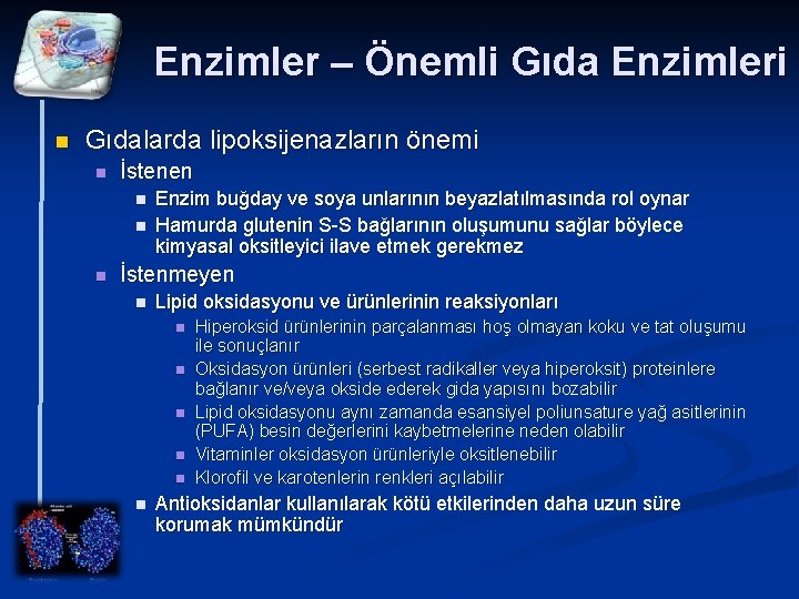 Enzimler – Önemli Gıda Enzimleri n Gıdalarda lipoksijenazların önemi n İstenen n Enzim buğday