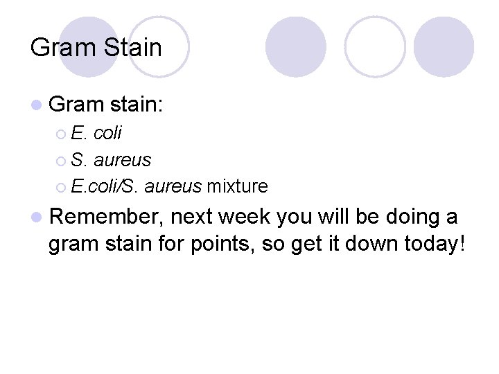 Gram Stain l Gram stain: ¡ E. coli ¡ S. aureus ¡ E. coli/S.