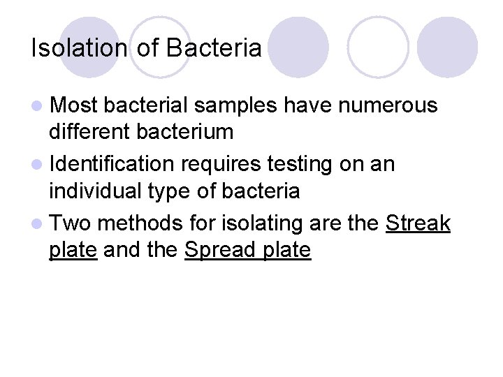 Isolation of Bacteria l Most bacterial samples have numerous different bacterium l Identification requires
