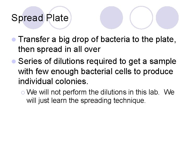 Spread Plate l Transfer a big drop of bacteria to the plate, then spread