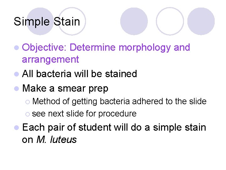 Simple Stain l Objective: Determine morphology and arrangement l All bacteria will be stained