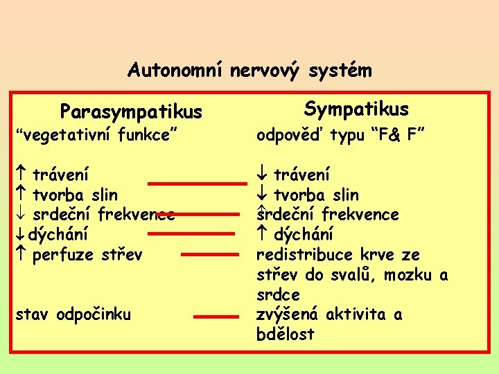 Autonomní nervový systém Parasympatikus Sympatikus “vegetativní funkce” odpověď typu “F& F” trávení tvorba slin