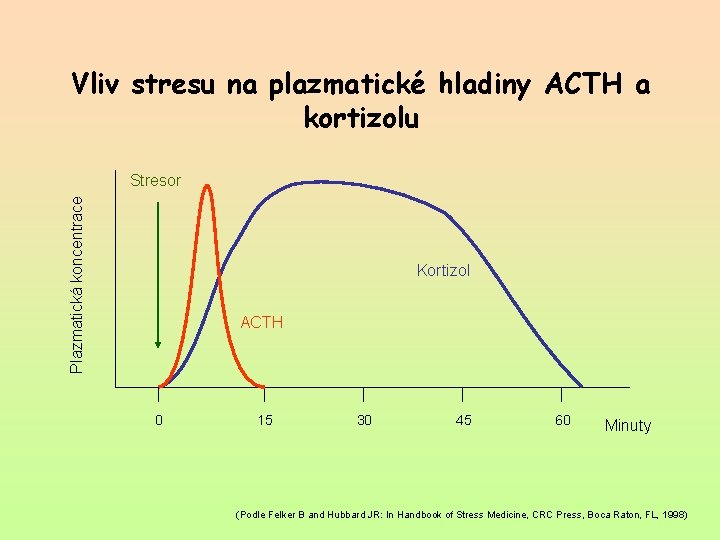Vliv stresu na plazmatické hladiny ACTH a kortizolu Plazmatická koncentrace Stresor Kortizol ACTH 0