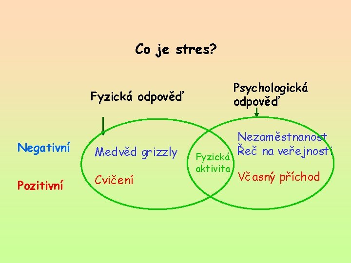 Co je stres? Psychologická odpověď Fyzická odpověď Negativní Pozitivní Medvěd grizzly Cvičení Nezaměstnanost Řeč