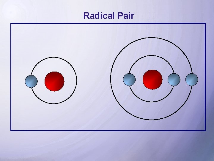 Radical Pair 