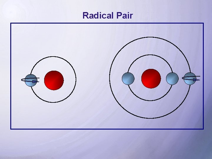 Radical Pair 