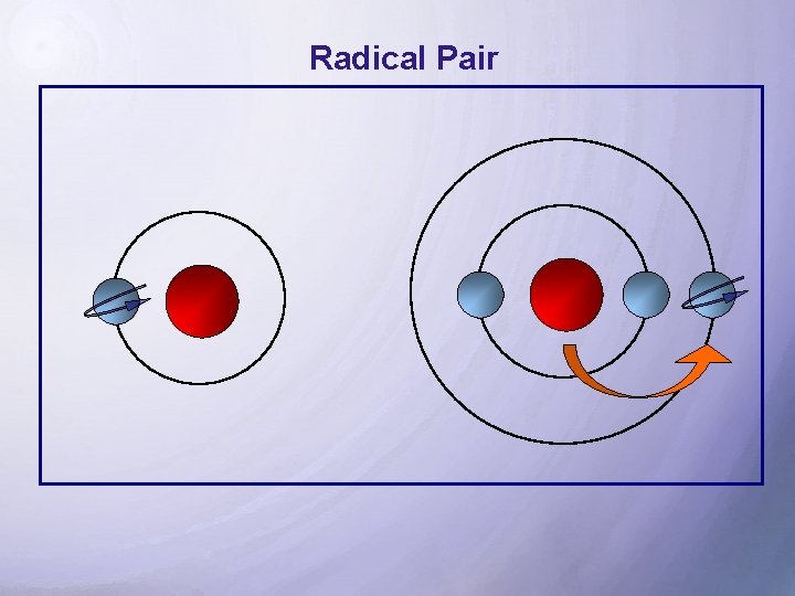 Radical Pair 