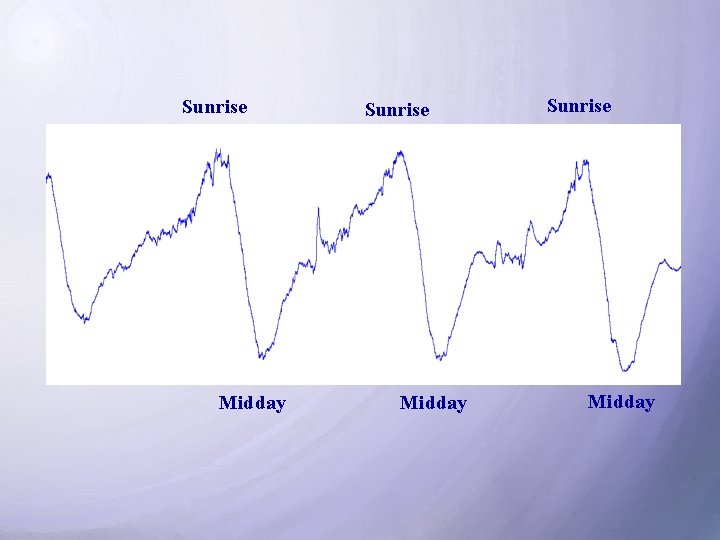 Sunrise Midday 