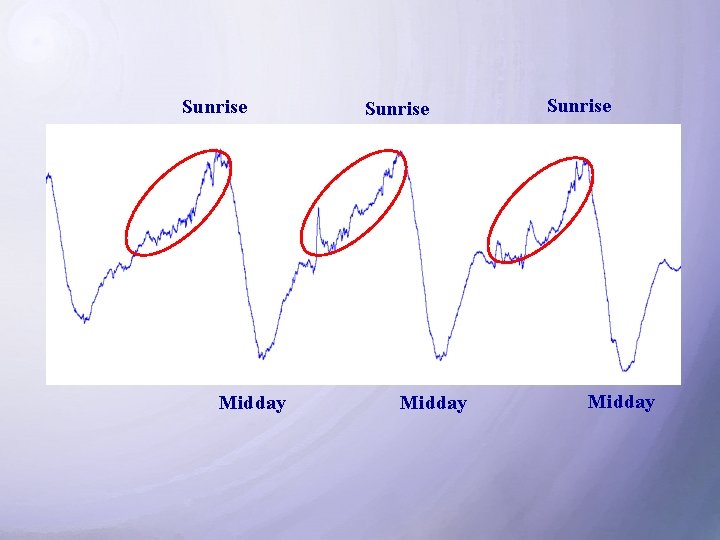 Sunrise Midday 