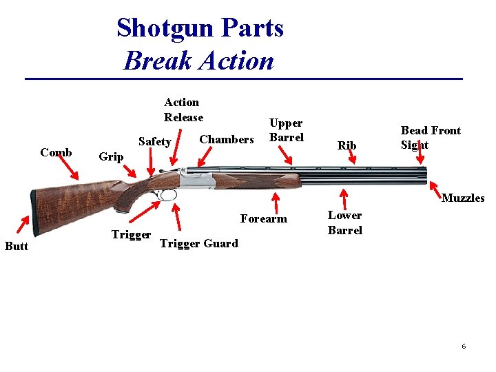 Shotgun Parts Break Action Release Comb Safety Chambers Upper Barrel Grip Rib Bead Front