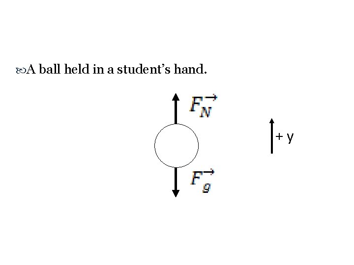  A ball held in a student’s hand. +y 