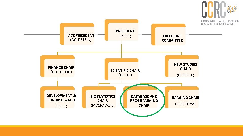 PRESIDENT (PETIT) VICE PRESIDENT (GOLDSTEIN) FINANCE CHAIR (GOLDSTEIN) DEVELOPMENT & FUNDING CHAIR (PETIT) SCIENTIFIC