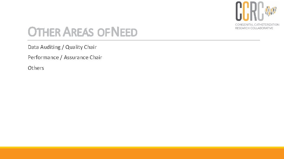 OTHER AREAS OF NEED Data Auditing / Quality Chair Performance / Assurance Chair Others