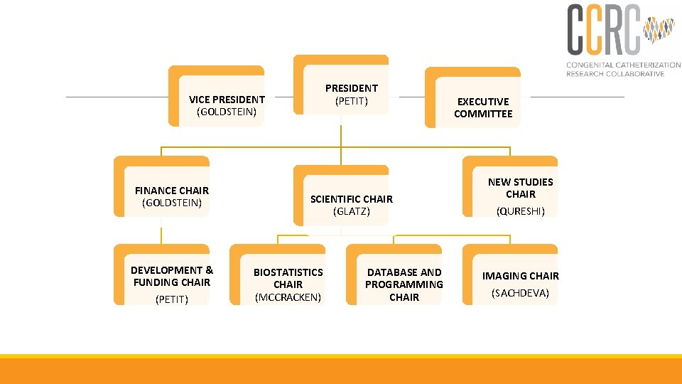 PRESIDENT (PETIT) VICE PRESIDENT (GOLDSTEIN) FINANCE CHAIR (GOLDSTEIN) DEVELOPMENT & FUNDING CHAIR (PETIT) SCIENTIFIC