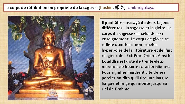 le corps de rétribution ou propriété de la sagesse (hoshin, 報身, sambhogakaya Il peut