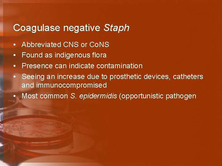 Coagulase negative Staph • • Abbreviated CNS or Co. NS Found as indigenous flora