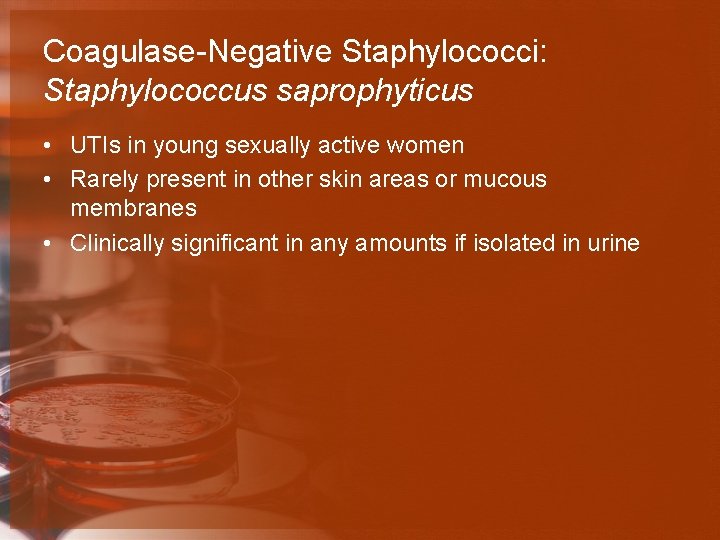 Coagulase-Negative Staphylococci: Staphylococcus saprophyticus • UTIs in young sexually active women • Rarely present