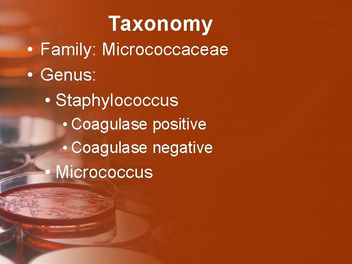 Taxonomy • Family: Micrococcaceae • Genus: • Staphylococcus • Coagulase positive • Coagulase negative