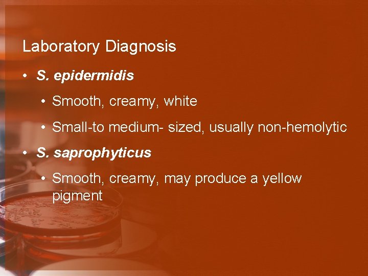 Laboratory Diagnosis • S. epidermidis • Smooth, creamy, white • Small-to medium- sized, usually