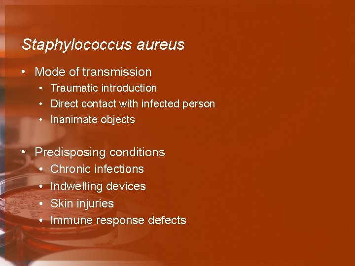 Staphylococcus aureus • Mode of transmission • Traumatic introduction • Direct contact with infected