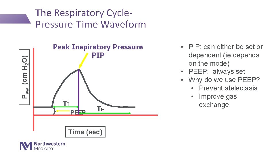 Paw (cm H 2 O) The Respiratory Cycle. Pressure-Time Waveform Peak Inspiratory Pressure PIP