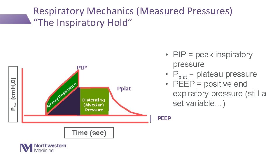 Respiratory Mechanics (Measured Pressures) “The Inspiratory Hold” Paw (cm H 2 O) PIP e