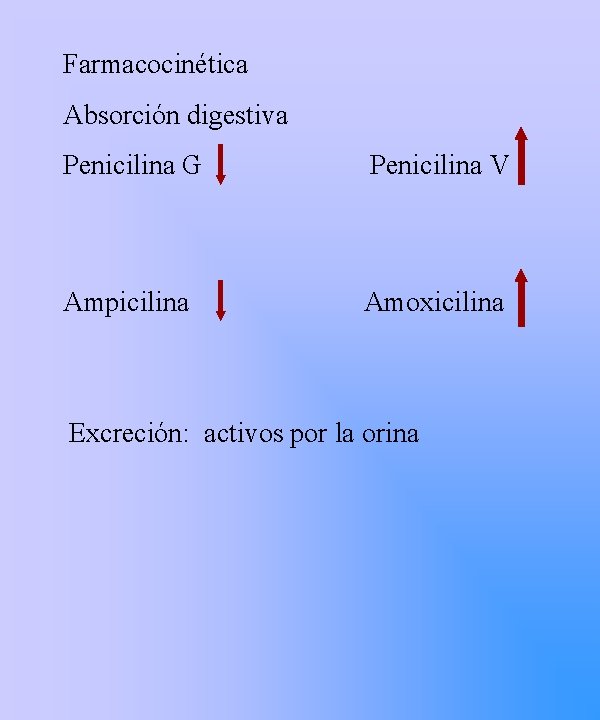 Farmacocinética Absorción digestiva Penicilina G Penicilina V Ampicilina Amoxicilina Excreción: activos por la orina