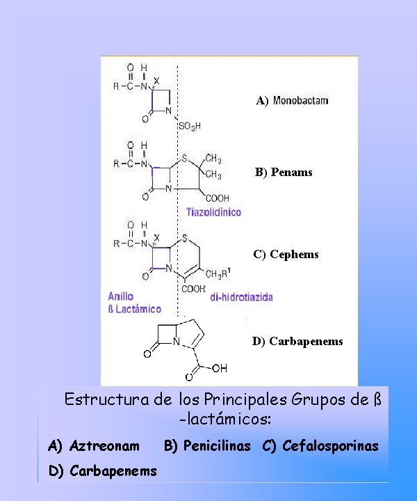 A) B) Penams C) Cephems D) Carbapenems Estructura de los Principales Grupos de ß